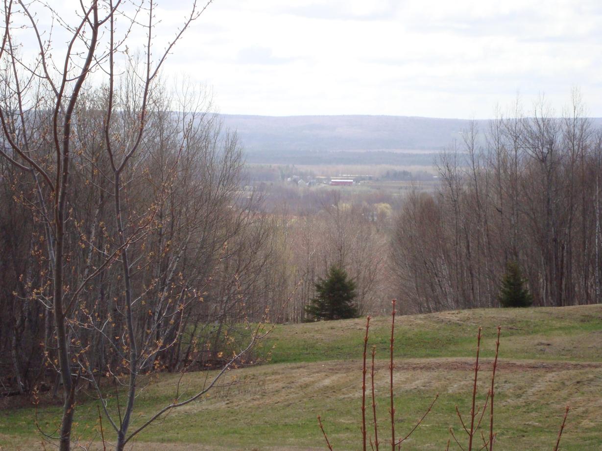view from future dining room patio door across valley floor up to the South Mountain
