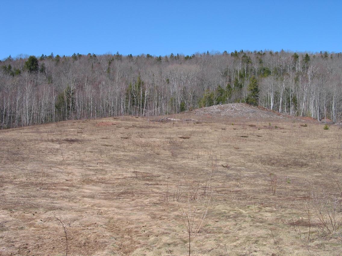 building site in spring after snow melt and prior to excavating site level