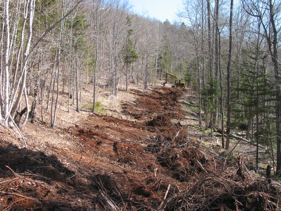 root extraction by many horsepower thanks to Boyd Pineo and his merry men