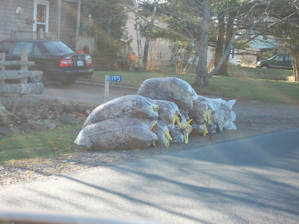 Free leaves for the taking will build the much needed soil.
