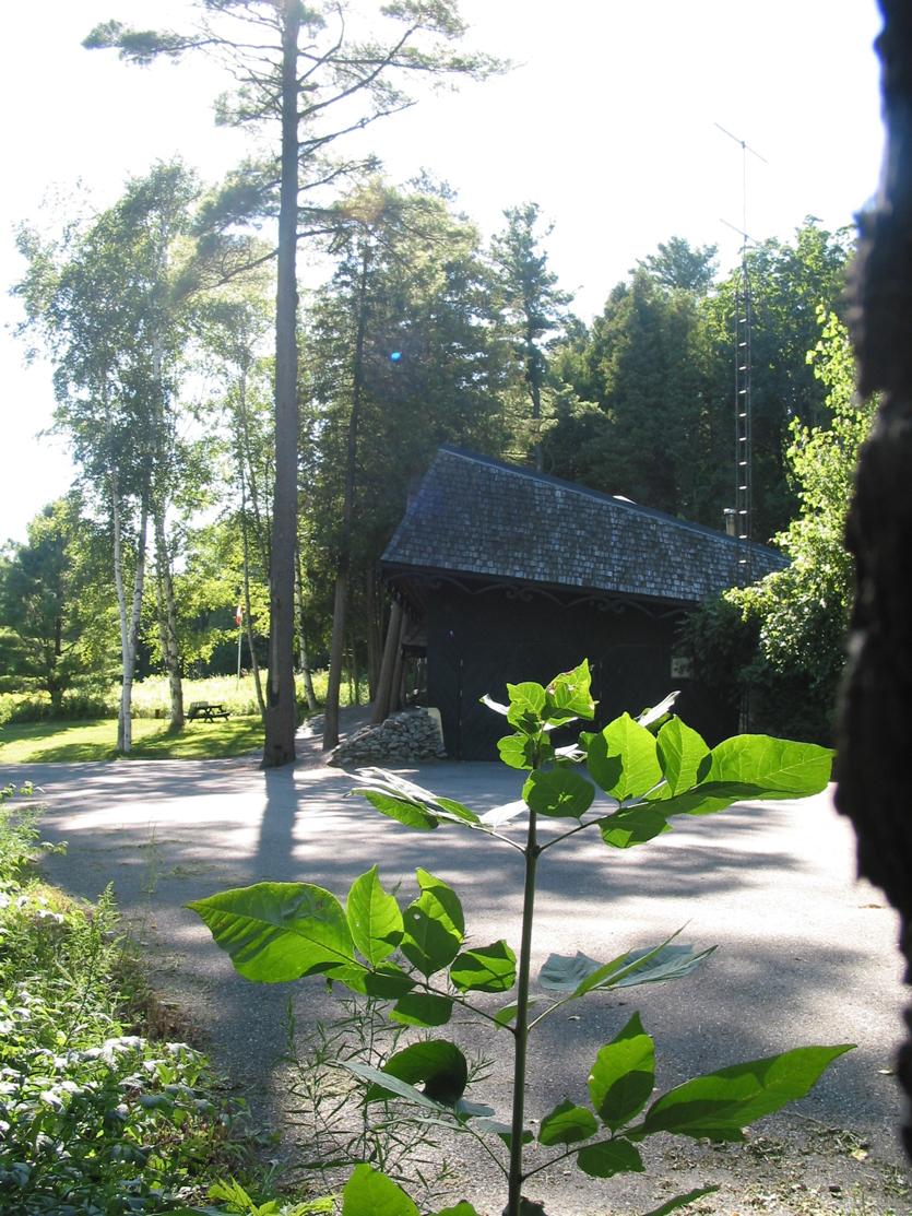working with mature trees near buildings (notice the south berm)
