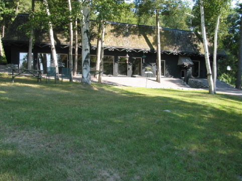 leaving trees for summer shading and emerging ecological consciousness (picnic table, hammock and chairs for guests. . .all green)